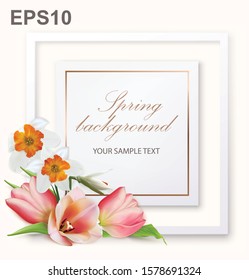 Spring background with tulips, crocuses, anemones and frame. 3D illustration