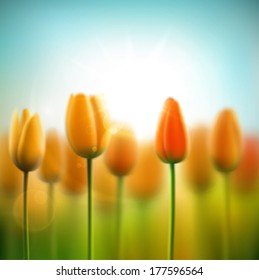 Spring background with tulips, eps 10.