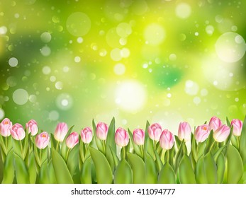 Spring background with tulips. EPS 10 vector file included