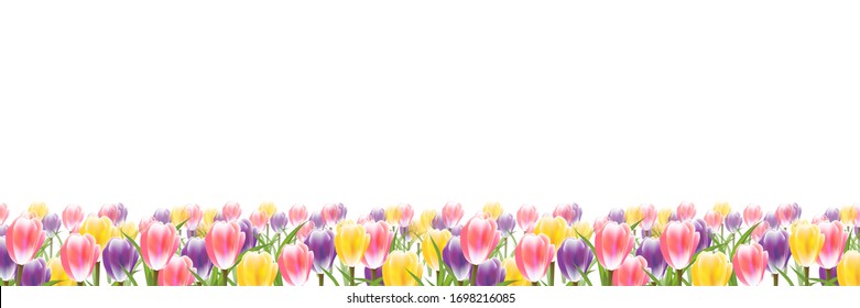 Fondo de primavera con flores tulipanas