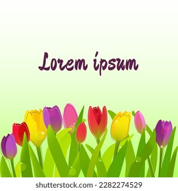 Spring background with tulips. vector illustration