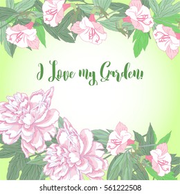 Spring  background with two pink  peonies and flowers