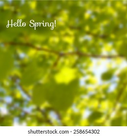 Spring background with unfocused green leaves