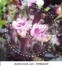 Spring background. Vector typography label - spring sale on flower blurry background for card, banner or web design.