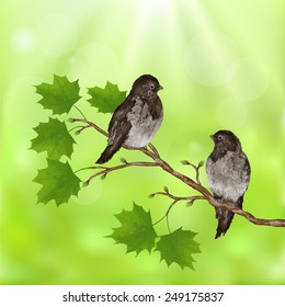 Spring background watercolor with a branch of maple and birds on a blurred green background