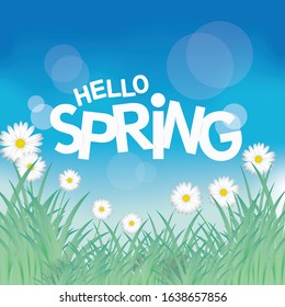Spring background with white flower, green grass and sky background. Vector illustration.