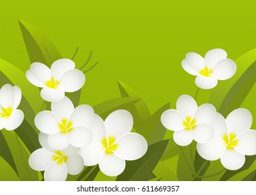 Spring background with white flowers.Vector illustration.Eps 10