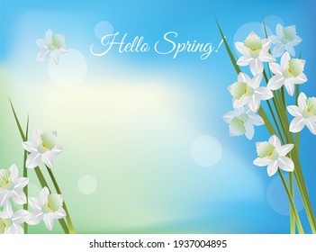 Spring background with white narcissus flowers. Vector illustration for web site design, banner, card, other. 