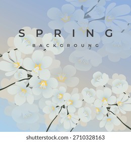 spring background , wight flowers 