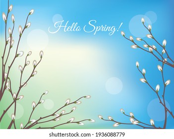 Spring background with willow branches. Vector illustration for web site design, banner, card, other. 