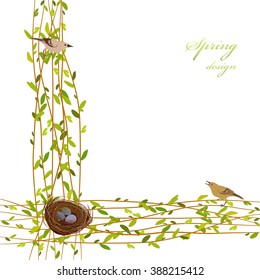 Spring background with willow tree branches, nest, birds and eggs. Border frame with osier twigs and green leaves on white background isolated. Green tree twigs border design.Vector illustration.
