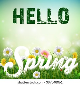 Spring background with word Spring in the grass and flowers.Vector