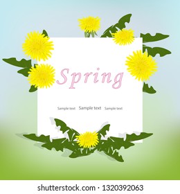 Spring background with yellow dandelion flowers and leaves. Vector background for spring, summer sale, congratulations on International Women's Day. Greeting card with space for text