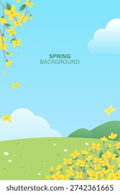 Spring background with yellow forsythia flowers on green field and blue sky with clouds