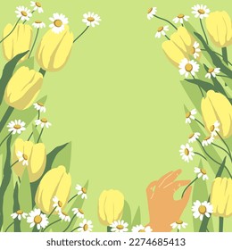 Spring background with yellow tulips and daisies. Flowers background for design. Place for your text.