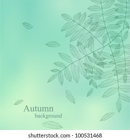 Spring background with your text (vector eps 10)