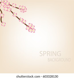 Spring background.Branch of Sakura flowers.vector illustration.