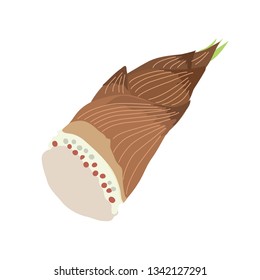 Spring bamboo shoot illustrations