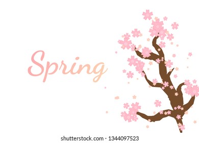 Spring Banner Background With Cherry Blossom. Vector