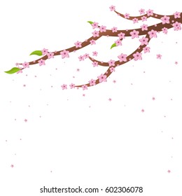 Spring banner. Background with sakura. Vector illustration