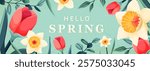 Spring banner background, vector illustration. Cute tulip and daffodil flowers, leaves, textures, text for floral spring design, easter, birthday, mothers day.