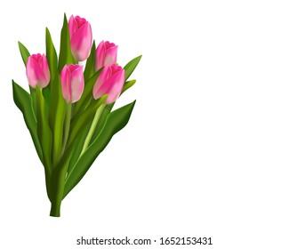 Spring banner. Bouquet of pink tulips on a white background. Easter and spring card. Woman day concept. Copyspace for text.Vector illustration.