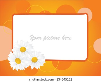 Spring banner with Camomile