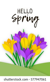 Spring Banner with colored paper flowers and an inscription. Flowers yellow and purple crocuses with leaves grown on grass isolated on white background. Vector illustration
