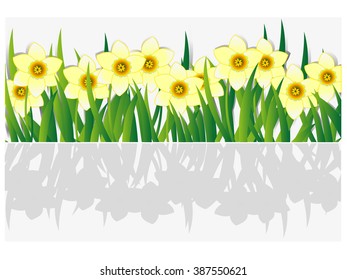 Spring banner with daffodils.