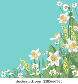 Banner de primavera con daffodils y daisies. Fondo de las flores para el diseño. Coloca tu texto.