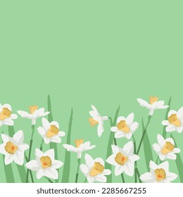 Spring banner with daffodils. Flowers background for design. Place for your text.