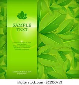 Spring banner, fresh green leaves background & text, vector illustration