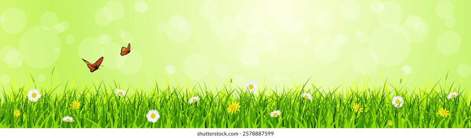 Spring banner, green grass background, flowers, butterflies