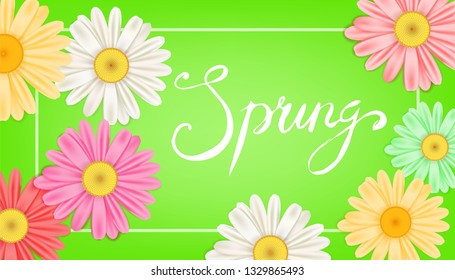 Spring banner. Hand drawn lettering. Background with chamomile, daisy. Spring Time template, flyer, posters, brochure. Happy spring Day. Fashionable styling. Flower vector isolated