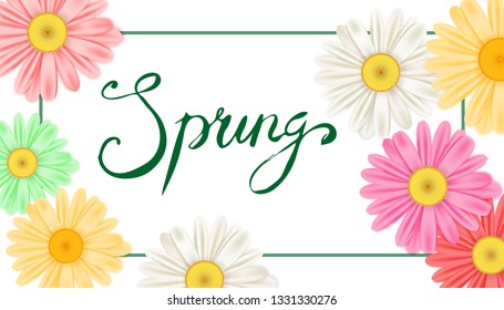 Spring banner. Hand drawn lettering. Background with chamomile, daisy. Spring Time template, flyer, posters, brochure. Happy spring Day. Fashionable styling. Flower vector isolated