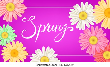 Spring banner. Hand drawn lettering. Background with chamomile, daisy. Spring Time template, flyer, posters, brochure. Happy spring Day. Fashionable styling. Flower vector isolated