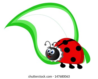 Spring banner with ladybird and green leaf