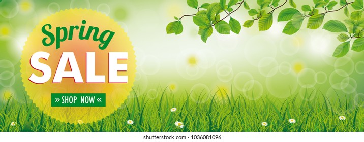 Spring Banner With Nature And Text Spring Sale, Save Now. Eps 10 Vector File.