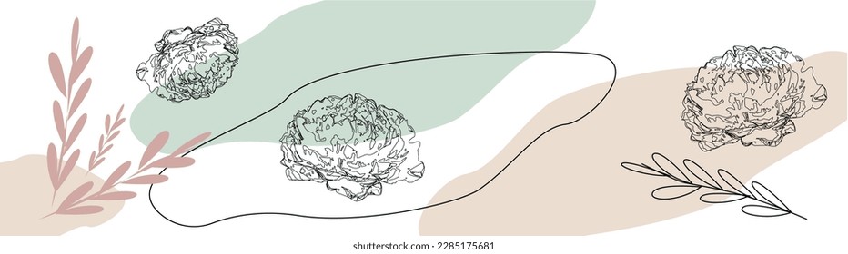 
spring banner with peonies vector flowers