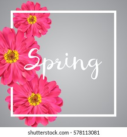 Spring banner with pink flowers on grey background. Spring sale banner. Spring template for design. Vector illustration.
