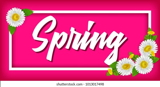 Spring banner with realistic chamomile. Vector illustration