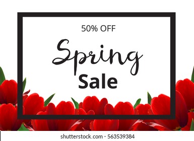 Spring banner with red flowers on white background. Spring sale banner. Red tulips. Vector illustration.
