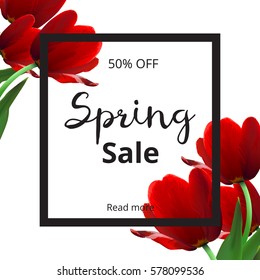 Spring banner with red flowers on white background. Spring sale banner. Vector Tulips. Vector illustration.