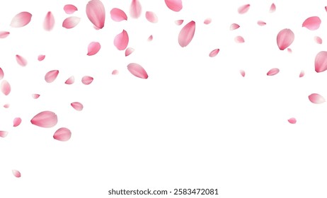 spring banner template cherry blossom Or sakura flying petals vector illustration romantic background with realistic pink cherry flower petals flow or falling motion