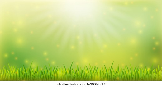Spring  banner template with grass on colorful background. Card for spring season with lights and green nature. EPS 10