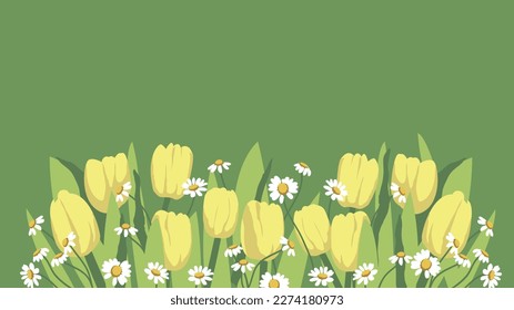 Banner de primavera con tulipanes y margaritas. Fondo de las flores para el diseño. Coloca tu texto.