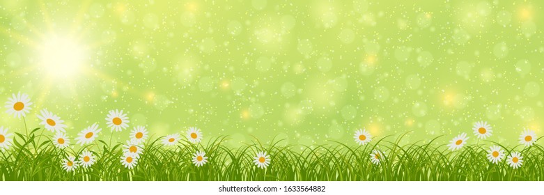 Spring banner vector design template. Green blurred background with flowers and bokeh effect