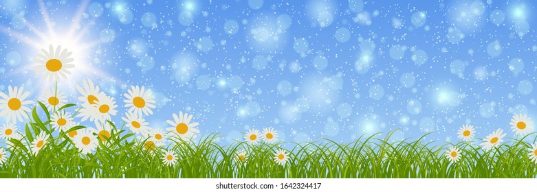 Spring banner vector design template. Blue sky background with flowers and bokeh effect