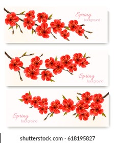 Spring Banners With Branch of Sakura Blossom. Vector.