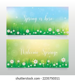 Spring banners with grass and white flowers